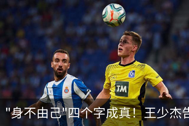 "身不由己"四个字成真！王少杰告别广东：租借两年终究是人家的